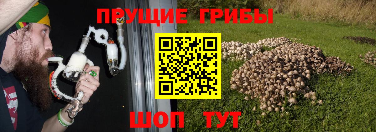 Брянск  дарнет шоп  Вход с VPN  Галлюциногенные грибы ЛСД 
